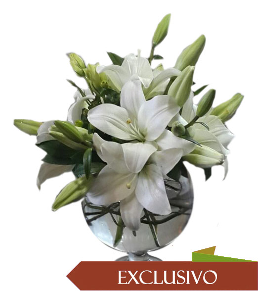 Lilium en florero